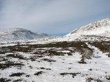 Trail 1