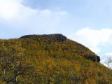 Darf�loalgi 1