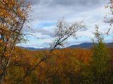 Autumn 10