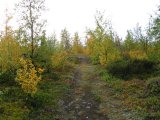 Autumn 1