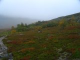 Autumn 6