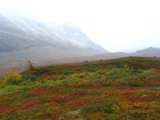 Autumn 7