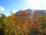 Autumn 8