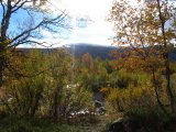 Autumn 9