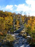 Bridge 4