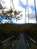 Bridge 5