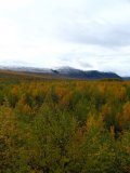 Fjelds 1