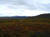 Fjelds 3