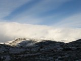 Fjelds 1