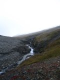 Stream 1