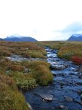 Stream 2