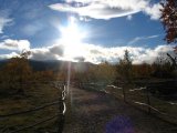 Sun 3