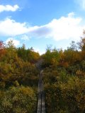 Trail 2