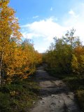 Trail 3