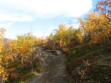 Trail 4