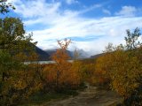 Trail 5