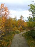 Trail 6