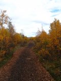 Trail7