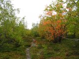 Trail 1