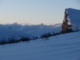 B�rdde 1