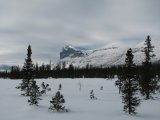 Skierffe 5
