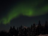 Aurora 1