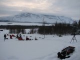 Dogsleds 2