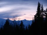 Evening 5