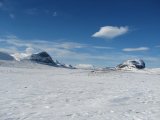 Fjelds 3