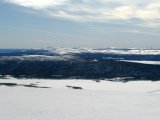 Fjelds 1