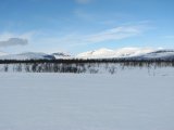 Fjelds 2