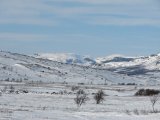 Fjelds 2