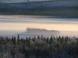 Fog 1