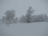 Frost 4