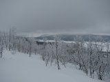 Frost 6