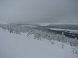 Frost 8
