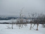 Frost 9