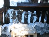 Ice 2
