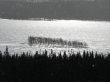 Isle 3