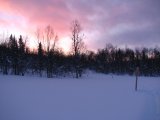 Morning 3