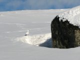 Ptarmigan 1