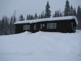 Snow 1