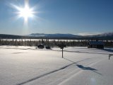 Sun 1