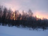 Sun 4