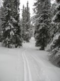 Tracks 3