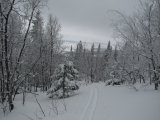 Tracks 4