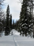 Tracks 5