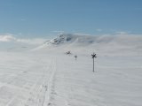 Trail 5