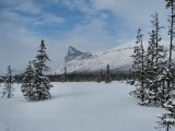 Skierffe 1