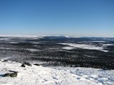 Fjelds 2